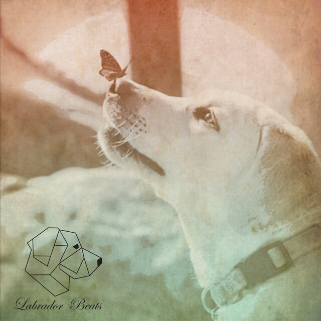 Gitano cover art