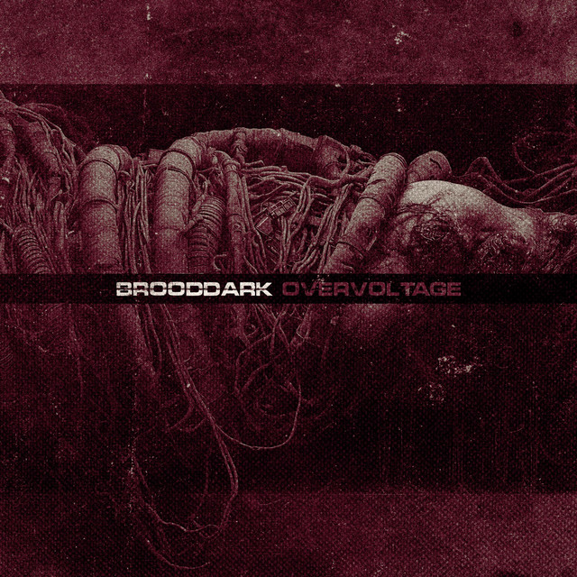 Overvoltage cover art
