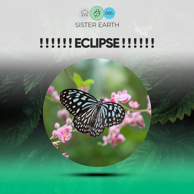 Eclipse ! ! ! ! ! ! - Album by Relaxing Nature Sounds Collection | Spotify
