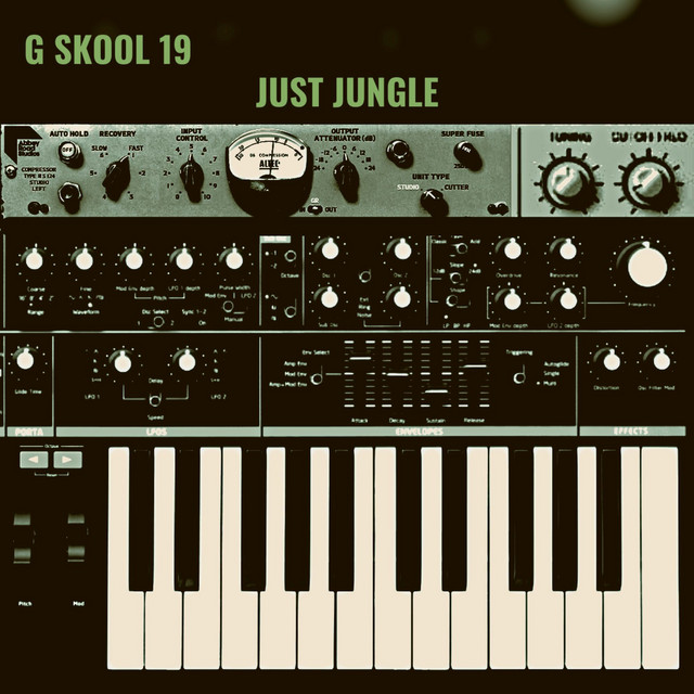 G Skool 19 cover