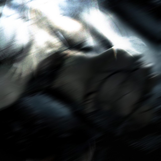 Vacuité cover art