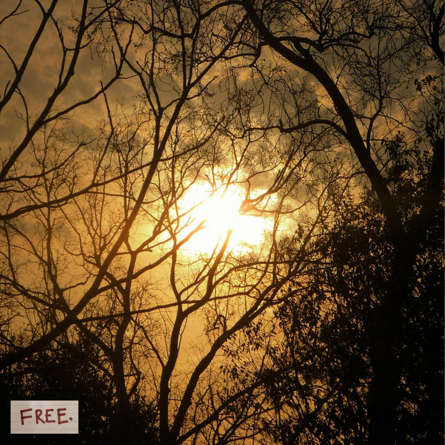 Free by Zabawa