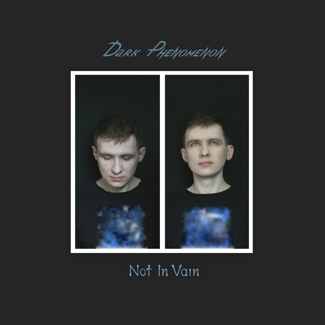 Not in Vain cover