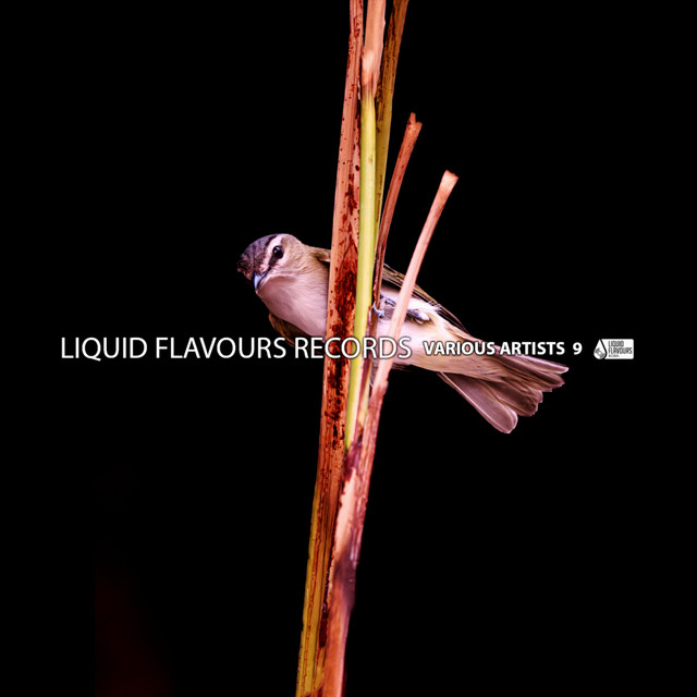 Various Artists 9 cover art