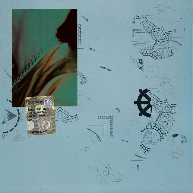 Toe In The Bardo Pond cover art