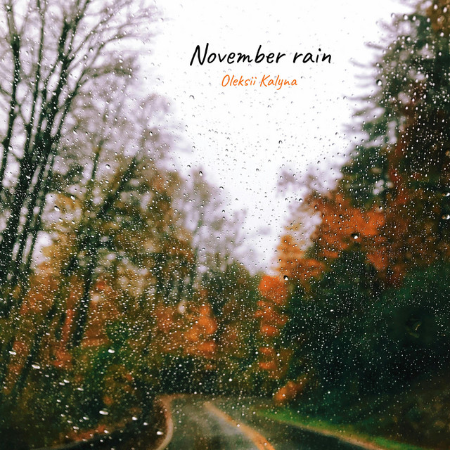 Обкладинка: November rain — Oleksii Kalyna