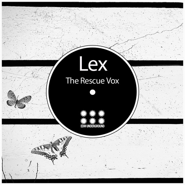 The Rescue Vox - Analog Trip Remix cover art
