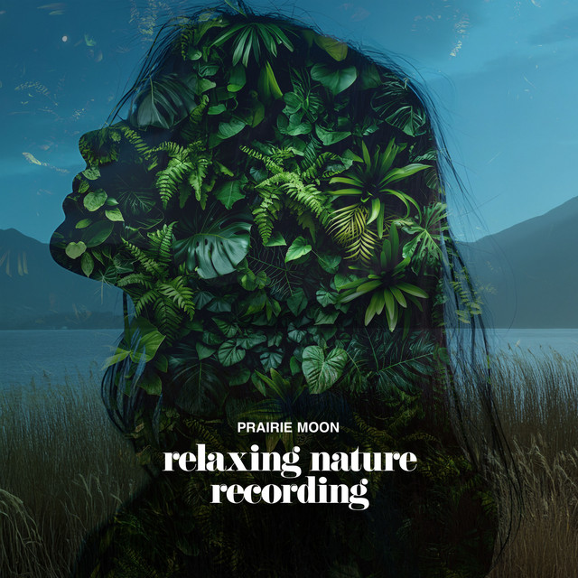 Relaxing Nature Recording cover art