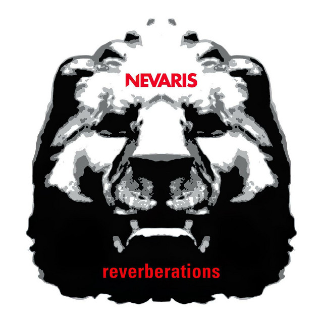 Reverberations cover art
