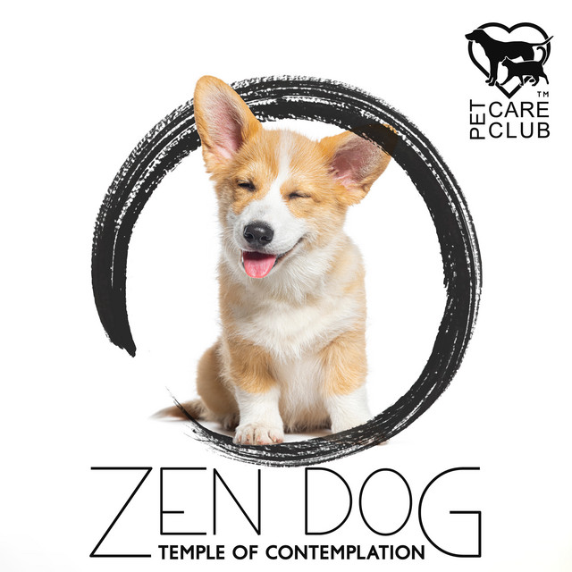 Zen Dog: Temple of Contemplation - Album by Pet Care Club | Spotify