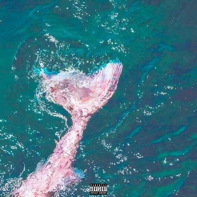 LE NAVIRE cover art