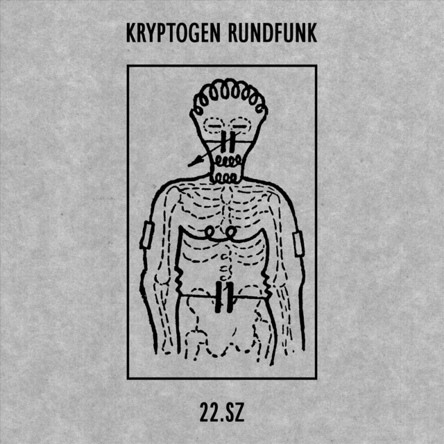 22.SZ cover art