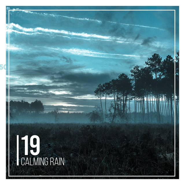 19 Calming Rain Sounds Nature Sounds and Relaxing Rain