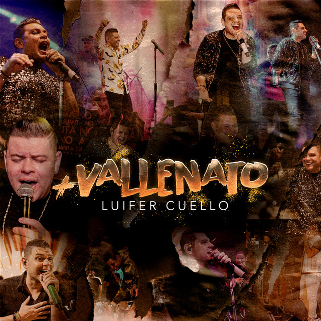 + Vallenato (En Vivo) cover art