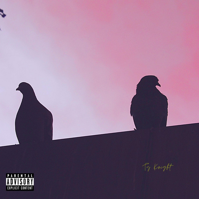 Doves Cry, Devils Sing - Single by Ty Knight | Spotify