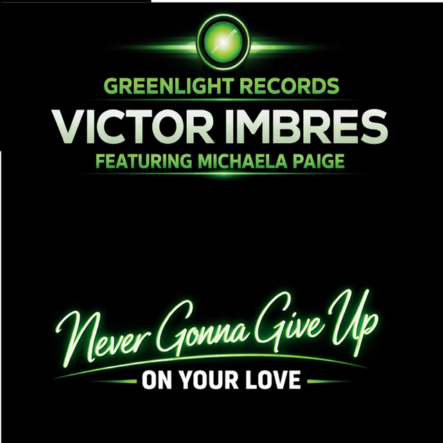 Never Gonna Give Up On Your Love - Radio Edit