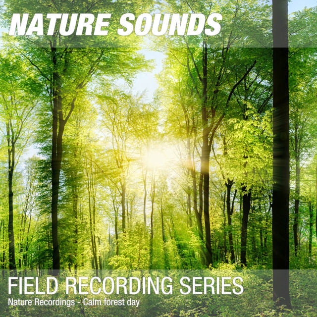 Nature Recordings - Calm forest day - Album by Nature Sounds | Spotify
