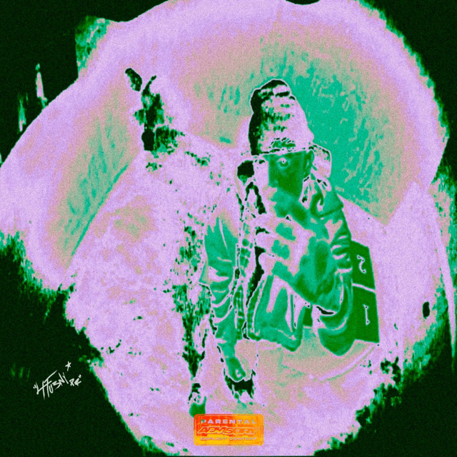 RIZO cover art