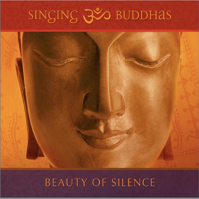 Beauty Of Silence cover art