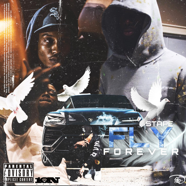 Fly Forever cover art