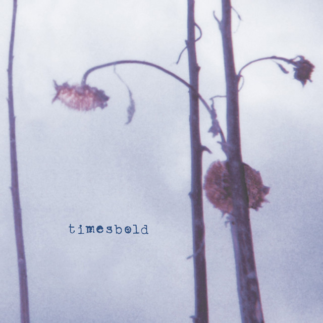 Timesbold cover art
