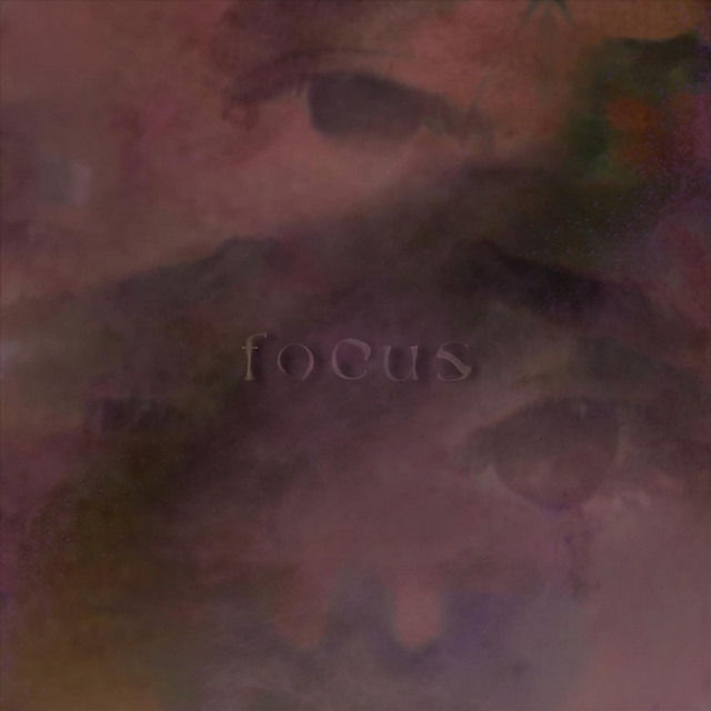 Focus cover