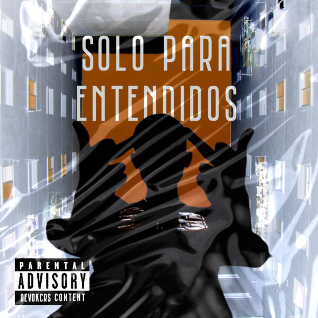 SOLO PARA ENTENDIDOS cover art