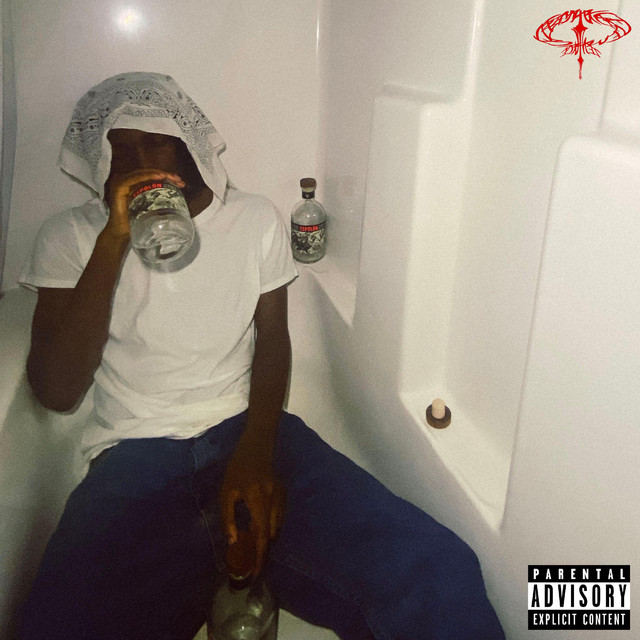 Boy Who Cried Zen cover art
