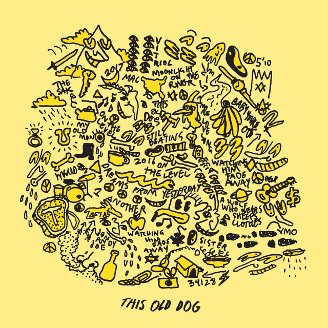 On the Level by Mac DeMarco