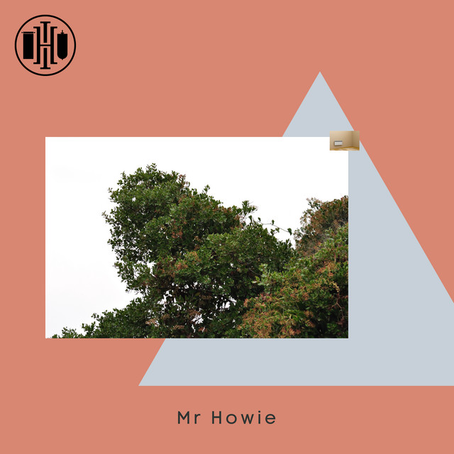 What have I been up to recently. - EP by Mr Howie | Spotify
