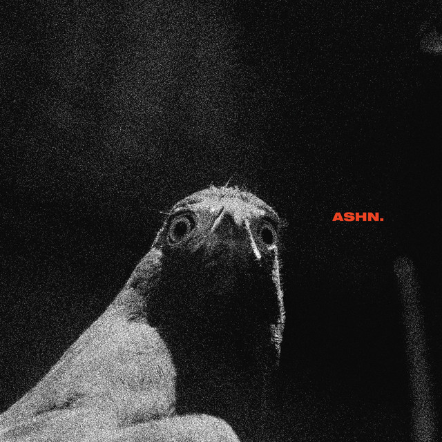 ASHN cover art