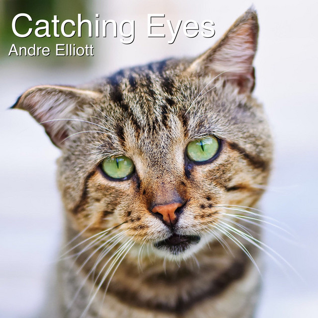 Catching Eyes - Single by Andre Elliott | Spotify