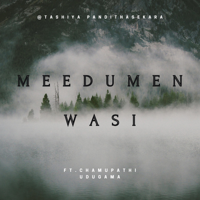 Meedumen Wasi cover art