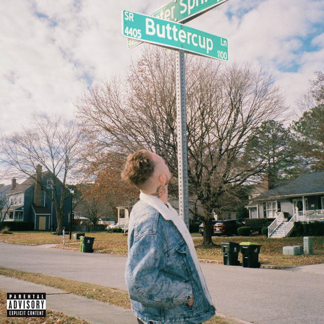 Buttercup Lane cover art