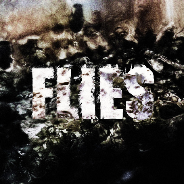 Flies cover art
