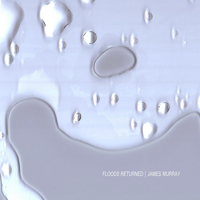 Floods Returned cover art