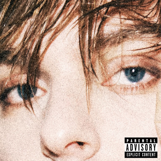 РАДОВАТЬСЯ НЕЧЕМУ cover art