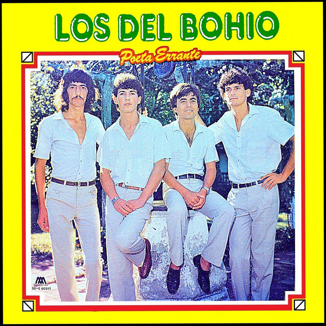 Poeta Errante cover art