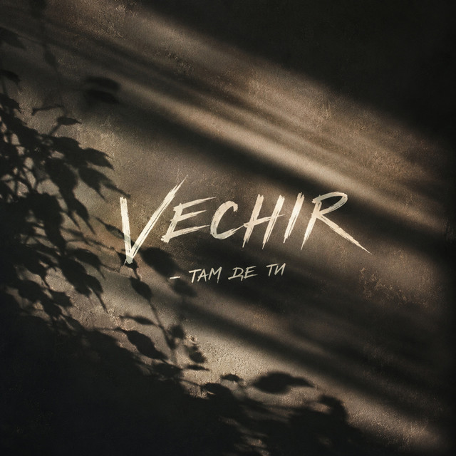 Обкладинка: там де ти — VECHIR