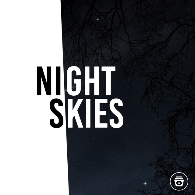 Night Skies cover art