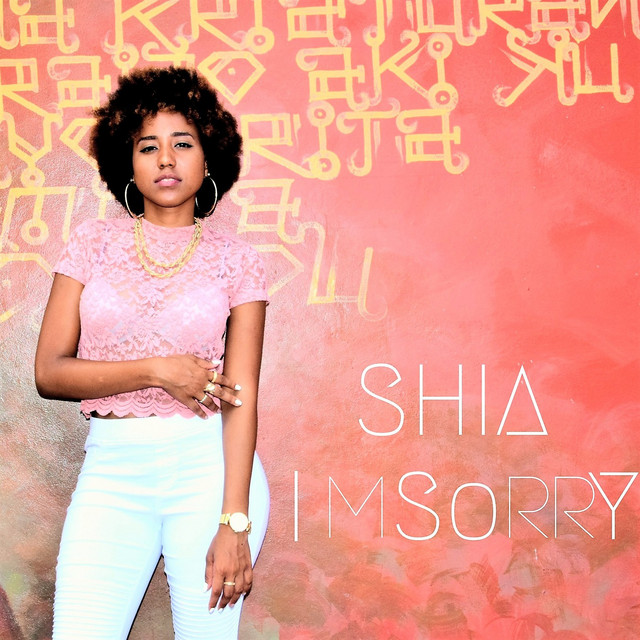 I'm Sorry - Single by SHIA | Spotify