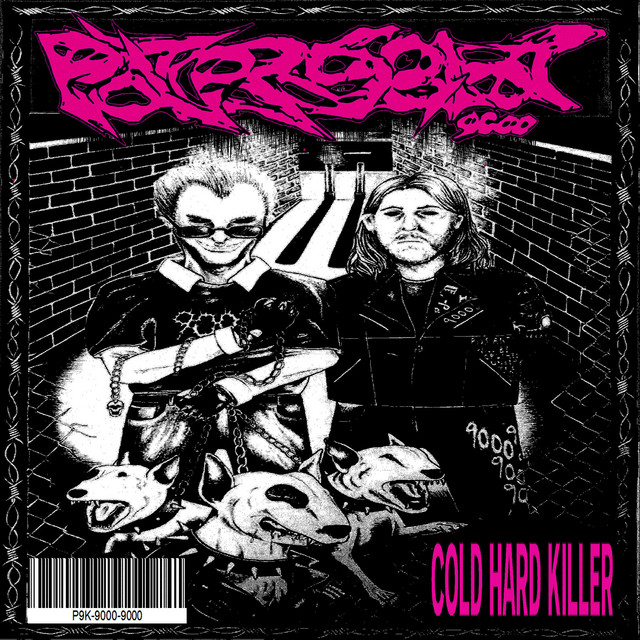 Cold Hard Killer cover art
