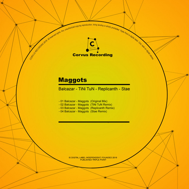 Maggots - Stae Remix cover art