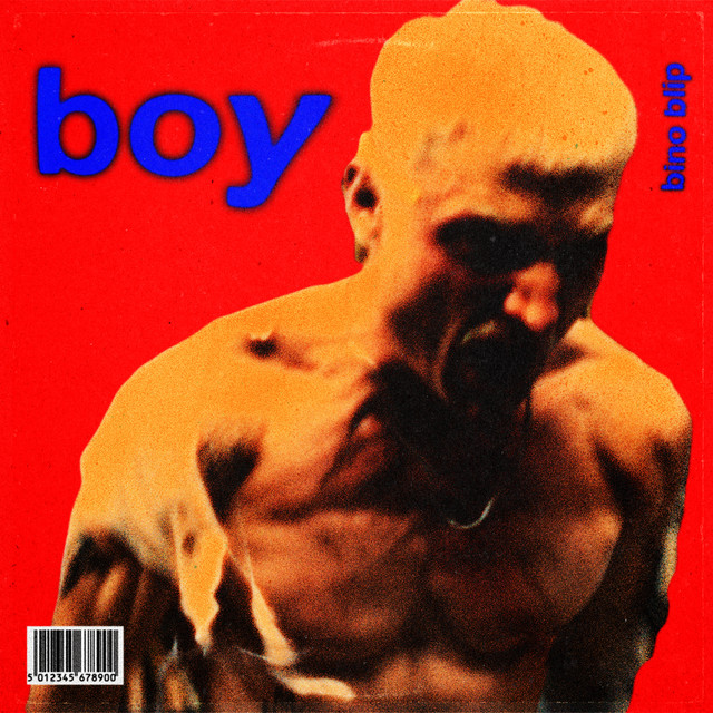 Boy cover art