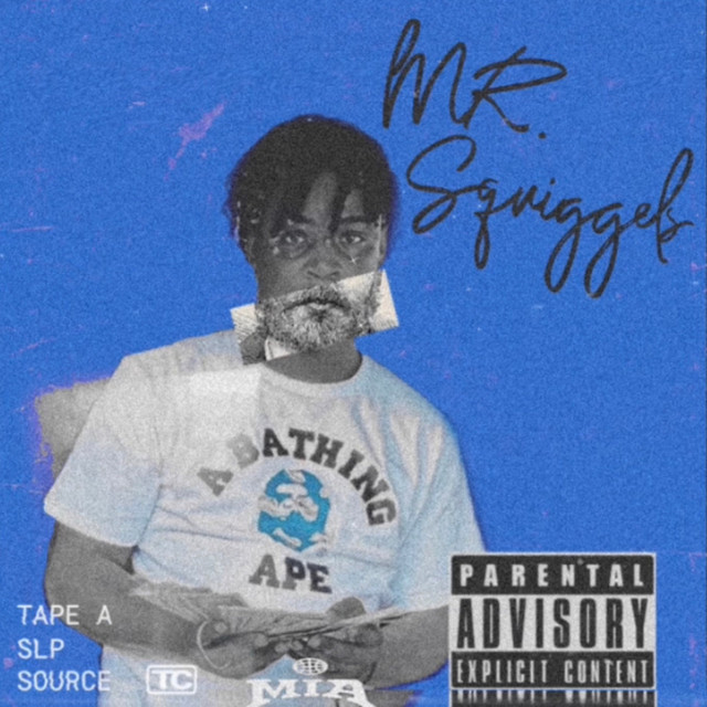 Mr.Squiggles cover art