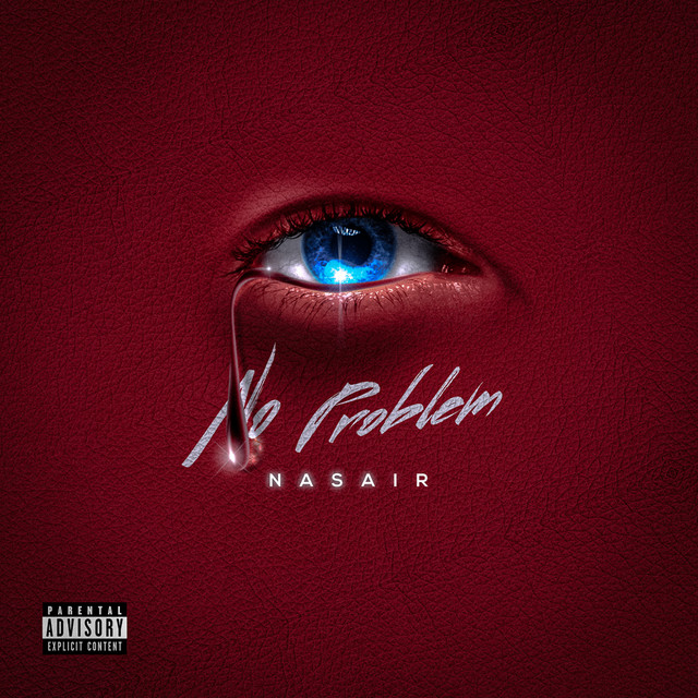 NO PROBLEM! cover art