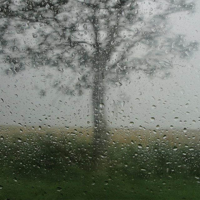 Raincoat Days cover art