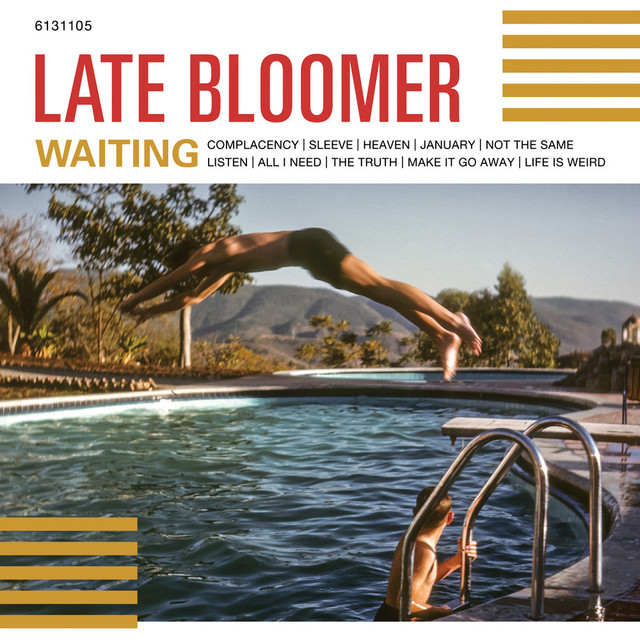 Waiting cover art