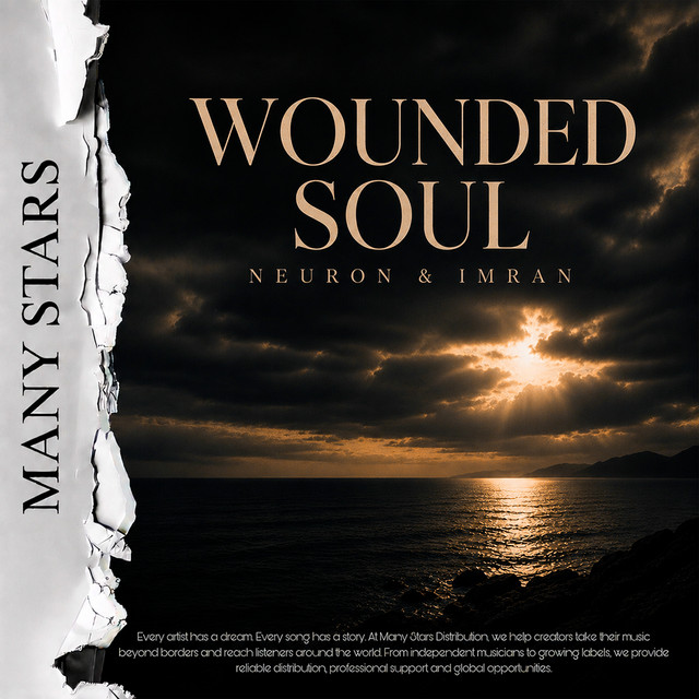 Wounded Soul cover