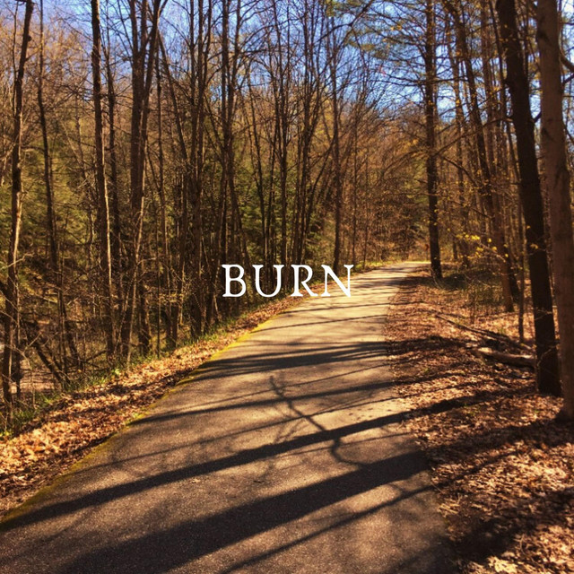 BURN cover art